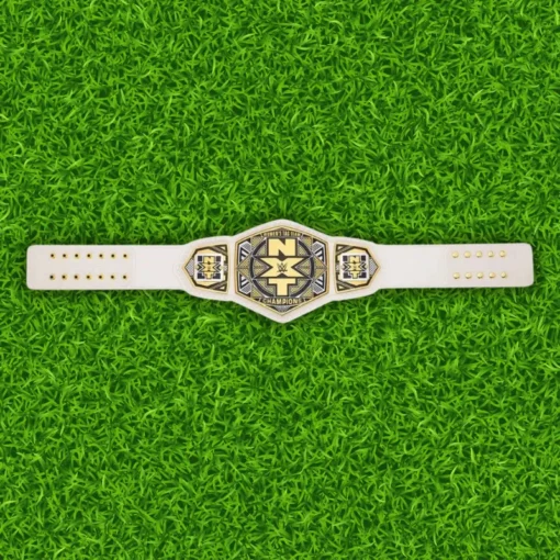 NXT Women's Tag Team Championship Replica Belt