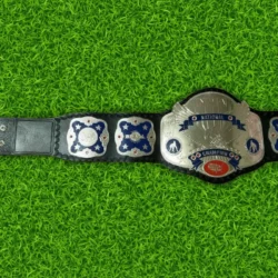 New NWA National Championship Wrestling Belt