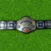 New NWA National Championship Wrestling Belt