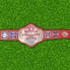 New NWA Television Heavyweight Championship Belt