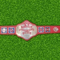 New NWA Television Heavyweight Championship Belt