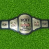 New Ring Of Honor World Wrestling Championship Belt