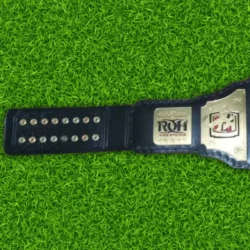 New Ring Of Honor World Wrestling Championship Belt