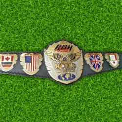 New Ring Of Honor Wrestling Championship Leather Belt