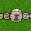 New TNA WORLD Championship Wrestling Belt