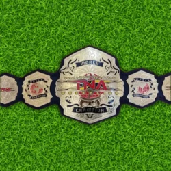 New TNA WORLD Championship Wrestling Belt