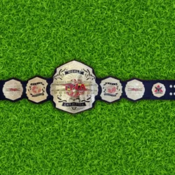 New TNA WORLD Championship Wrestling Belt