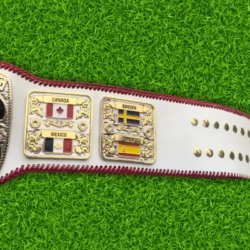 Nwa Junior Heavyweight Championship Belt