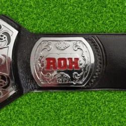 ROH Pure Championship Replica Title Belt