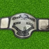 ROH Six Man Tag Team Championship Replica Belt