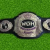 ROH Women's World Championship Replica Belt