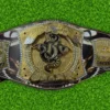 WWE NXT Randy Orton Spinner Championship Belt