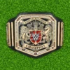 WWE United Kingdom Champion Wrestling Belt