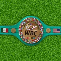 Wbc Fight Boxing Championship Belt