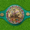 Wbc Fight Boxing Championship Belt