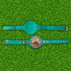 Wbc Fight Boxing Championship Belt