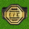 UFC Championship Replica Belt