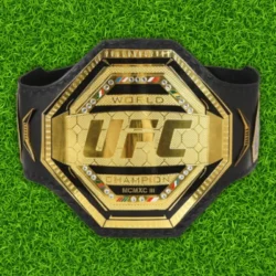 UFC Championship Replica Belt