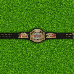 WCW Cruiserweight Wrestling Championship Replica Title Belt