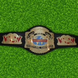 WCW Cruiserweight Wrestling Championship Replica Title Belt