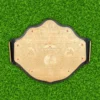 WCW World Heavyweight Championship Belt Replica Title