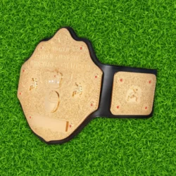 WCW World Heavyweight Championship Belt Replica Title