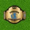 WCW World Heavyweight Wrestling Champion Belt