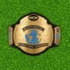WCW World Tag Team Championship Replica Title Belt