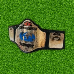 WCW World Television Wrestling Replica Championship Belt