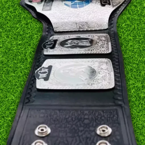 WCW World Television Wrestling Replica Championship Belt