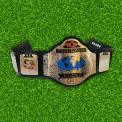 WCW World Television Wrestling Replica Championship Belt