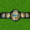 Wcw World Tag Team Wrestling Championship Title Belt