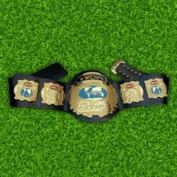 Wcw World Tag Team Wrestling Championship Title Belt
