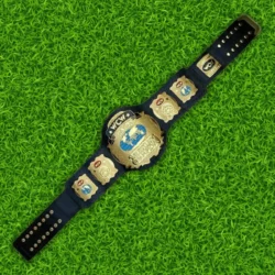 Wcw World Tag Team Wrestling Championship Title Belt