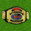 Wcw World Television Championship Wrestling Title Belt