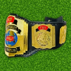 Wcw World Television Championship Wrestling Title Belt