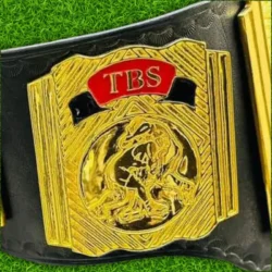 Wcw World Television Championship Wrestling Title Belt